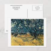 Olive Trees, Vincent van Gogh Briefkaart (Voorkant / Achterkant)