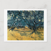 Olive Trees, Vincent van Gogh Briefkaart (Voorkant)