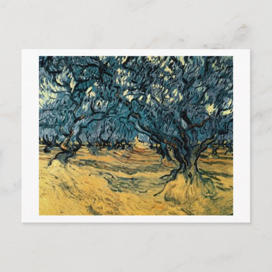Olive Trees, Vincent van Gogh Briefkaart (Voorkant)