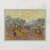 Olive Trees, Vincent van Gogh Briefkaart (Voorkant)