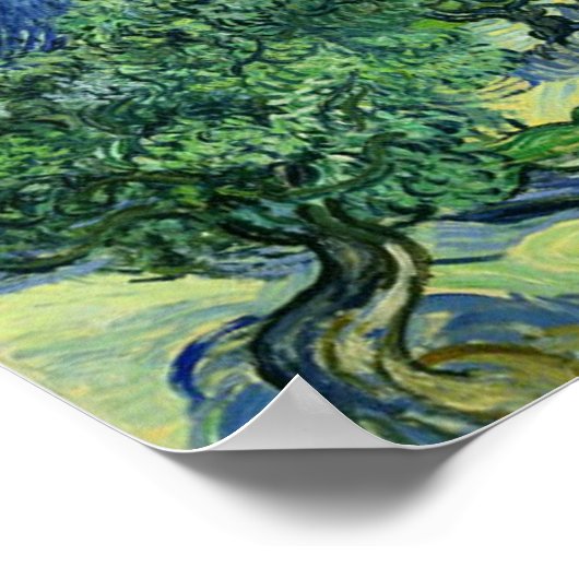 Olive Trees Vincent Van Gogh Poster (Hoek)