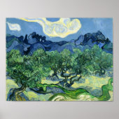 Olive Trees Vincent Van Gogh Poster (Voorkant)