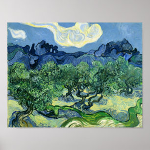 Olive Trees Vincent Van Gogh Poster