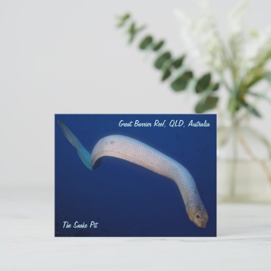 Olive Zee Snake Briefkaart (Staand voorkant)