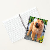 OLIVER Chow Chow 8 1/2x11 spiraal notitieboek (Binnen)