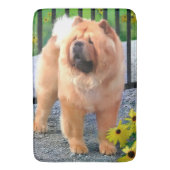 OLIVER in GARDEN Chow badmat/kratenmat Badmat (Voorkant Verticaal)