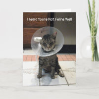Oliver is niet goed in de buurt - Cat Get Well Kaa