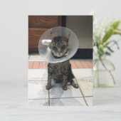 Oliver The Cats Cone of Shame Flat Get Well Kaart (Staand voorkant)