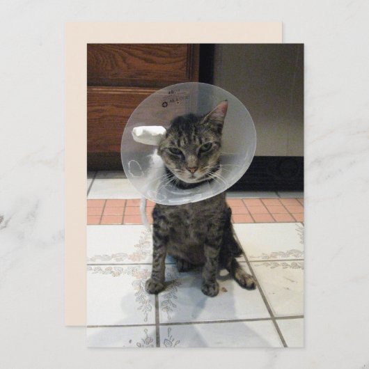 Oliver The Cats Cone of Shame Flat Get Well Kaart (Voorkant / Achterkant)