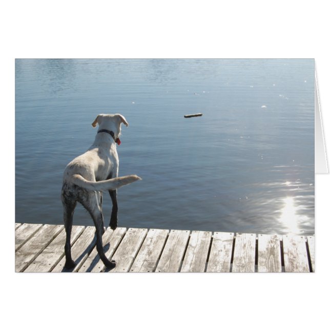 Oliver the Golden Lab (Voorkant Horizontaal)