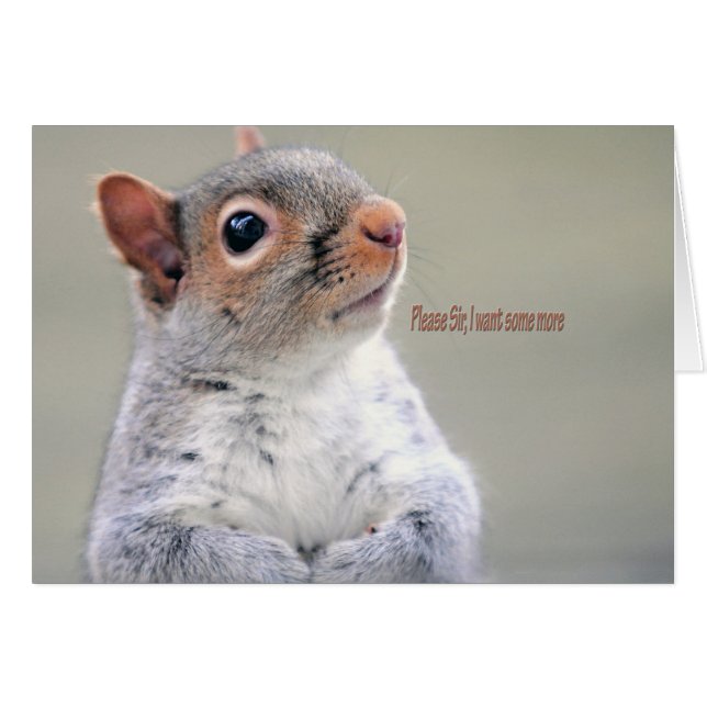 Oliver Twist Squirrel (Voorkant Horizontaal)