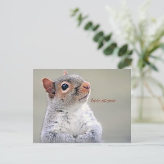 Oliver Twist Squirrel Briefkaart (Staand voorkant)