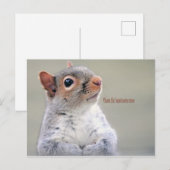 Oliver Twist Squirrel Briefkaart (Voorkant / Achterkant)