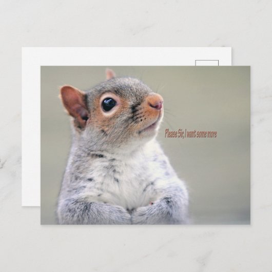 Oliver Twist Squirrel Briefkaart (Voorkant / Achterkant)