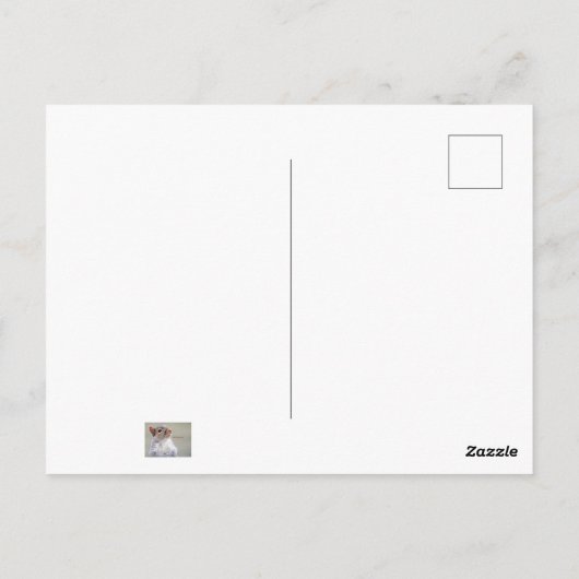 Oliver Twist Squirrel Briefkaart (Achterkant)