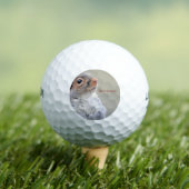 Oliver Twist Squirrel Golfballen (Insitu Shirt)