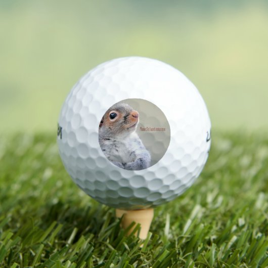 Oliver Twist Squirrel Golfballen (Insitu Shirt)