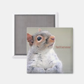 Oliver Twist Squirrel Magneet (Voorkant / Achterkant)