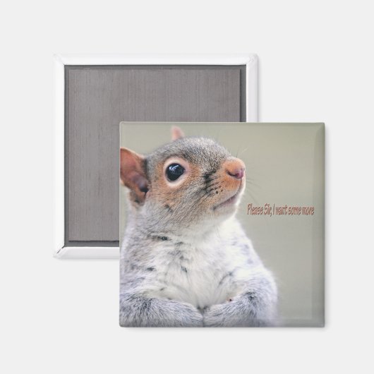 Oliver Twist Squirrel Magneet (Voorkant / Achterkant)