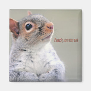 Oliver Twist Squirrel Magneet