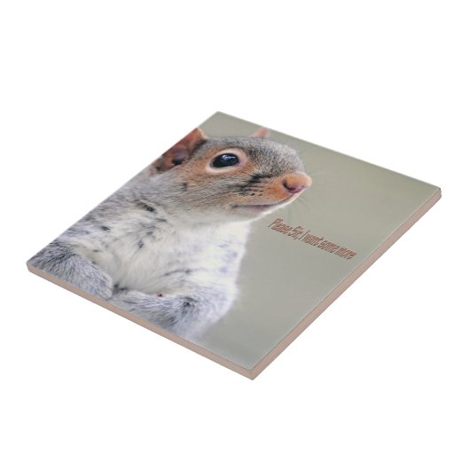 Oliver Twist Squirrel Tegeltje (Zijkant)