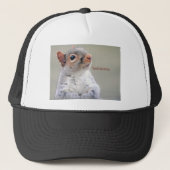 Oliver Twist Squirrel Trucker Pet (Voorkant)