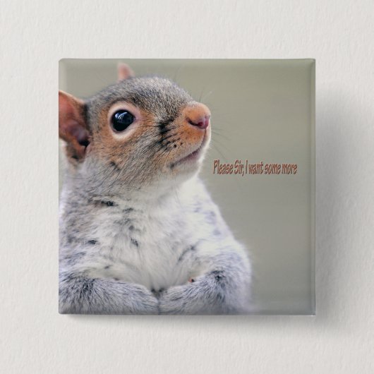 Oliver Twist Squirrel Vierkante Button 5,1 Cm (Voorkant)