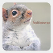 Oliver Twist Squirrel Vierkante Sticker (Voorkant)