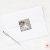 Oliver Twist Squirrel Vierkante Sticker (Envelop)