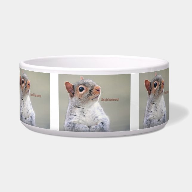 Oliver Twist Squirrel Voerbakje (Voorkant)