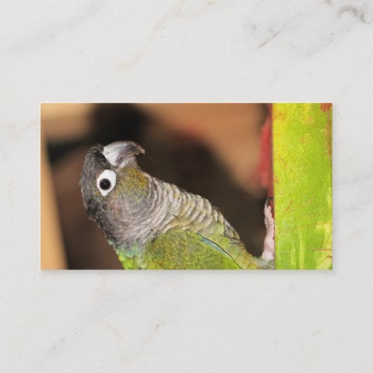 Oliver Visitekaartje (Achterkant)