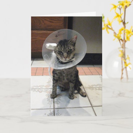 Oliver's Get Well Kaart (Gele Bloem)