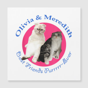 Olivia & Meredith - Beste Vrienden Purrr-Ever