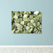 Olivijn van Peridot Canvas Afdruk (Insitu (Houten vloer))
