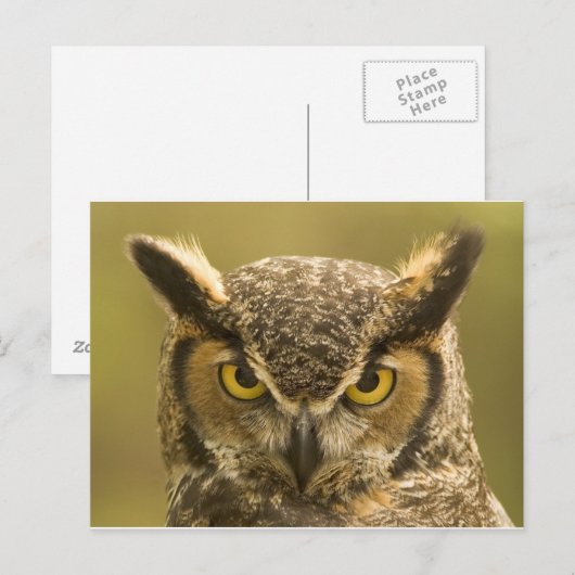 Ollen Briefkaart (Voorkant / Achterkant)