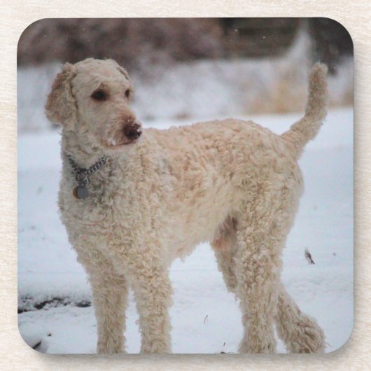 Ollie Bier Onderzetter (Voorkant)