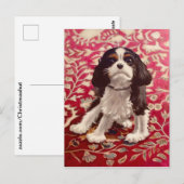 Ollie, briefkaart (Voorkant / Achterkant)