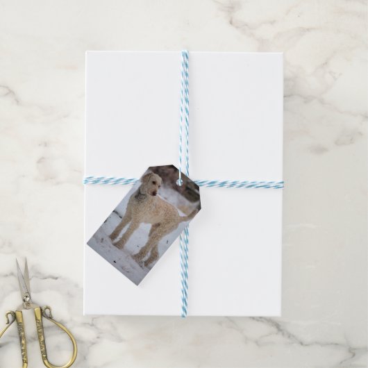 Ollie Cadeaulabel (Met Touw)