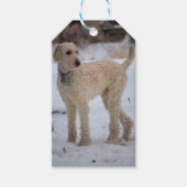 Ollie Cadeaulabel (Voorkant)