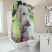 Ollie Douchegordijn (In situ)