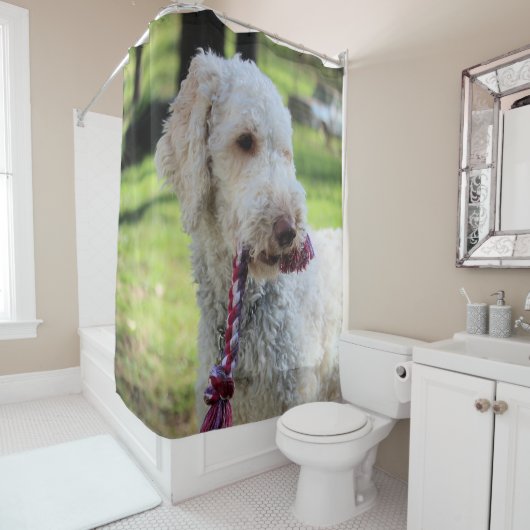 Ollie Douchegordijn (In situ)