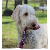 Ollie Douchegordijn (Voorkant)