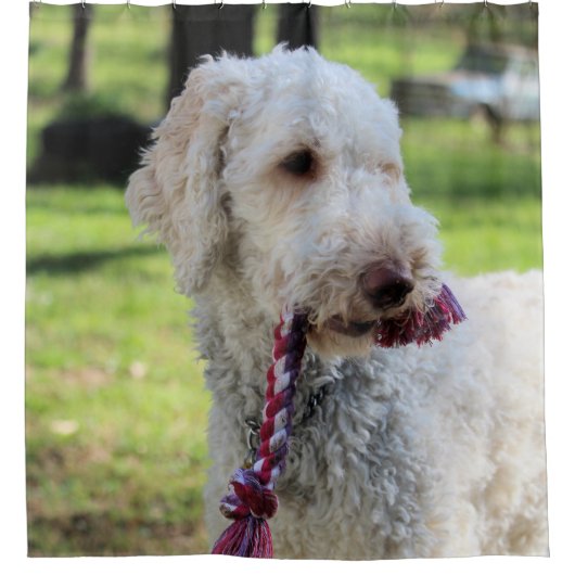 Ollie Douchegordijn (Voorkant)