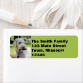 Ollie Etiket (Insitu)