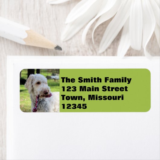 Ollie Etiket (Insitu)