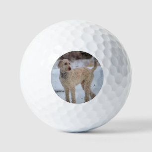 Ollie Golfballen