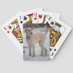 Ollie Pokerkaarten