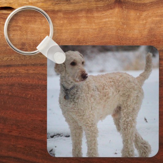 Ollie Sleutelhanger (Voorkant)