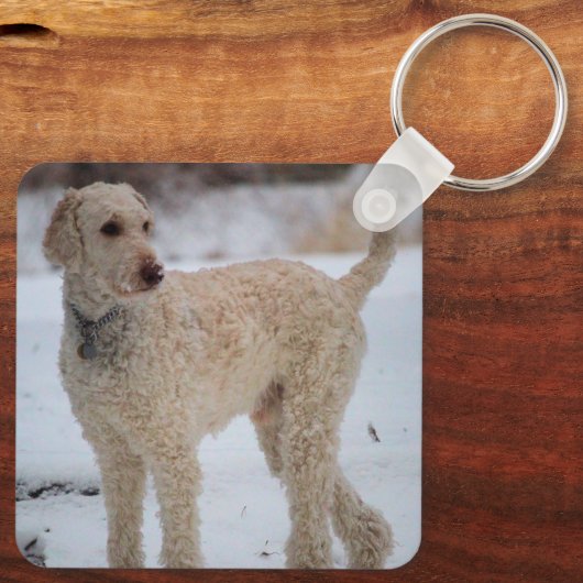 Ollie Sleutelhanger (Achterkant)