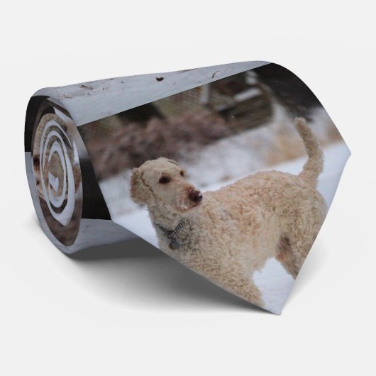 Ollie Stropdas (Opgerold)